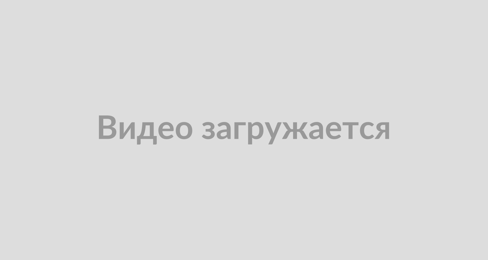 Статус лота